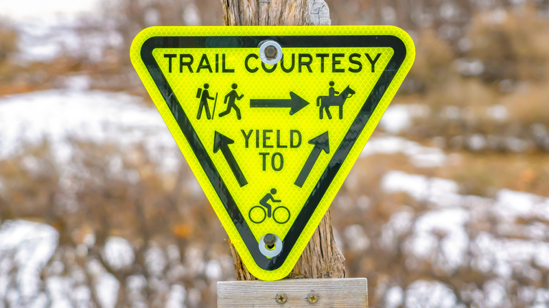 Trail Safety - Trekking in Tumbler Ridge