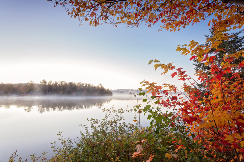 Destination Guide for Ontario -Algonquin Provincial Park