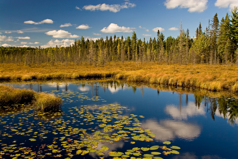 Destination Guide for Ontario -Algonquin Provincial Park