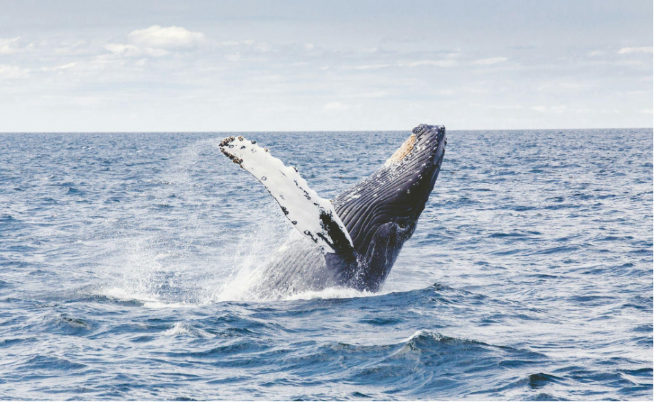 Nova Scotia Hidden Gems - Digby