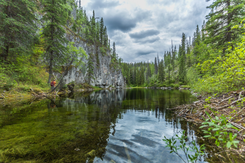 3 - Stone Corral Trail - Trekking in Tumbler Ridge