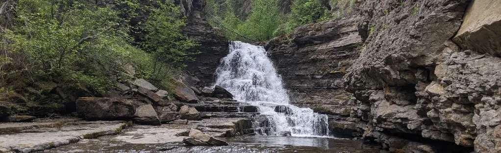 5 - Quality Canyon Trail - Trekking in Tumbler Ridge